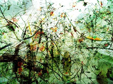 Brainforest Kanazawa, 2004 | Digitale Collage auf Aluminium | 70 x 93 cm | Ed. 6 Ex.